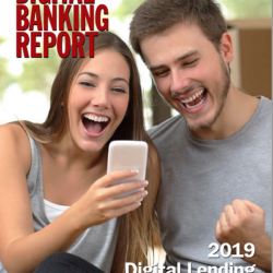 DBR 293 - 2019 Digital Lending Review
