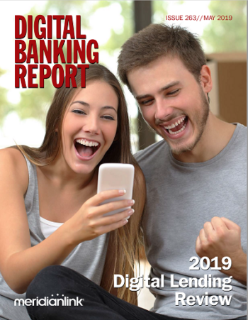 DBR 293 - 2019 Digital Lending Review